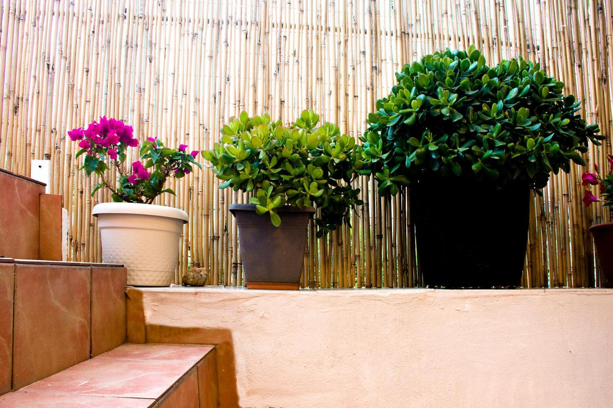فيلا Lilian'S House خانيا المظهر الخارجي الصورة